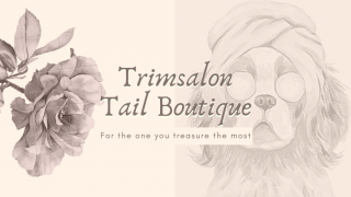 Hoofdafbeelding Trimsalon Tail Boutique
