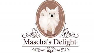 Hoofdafbeelding Mascha's Delight Chihuahuas